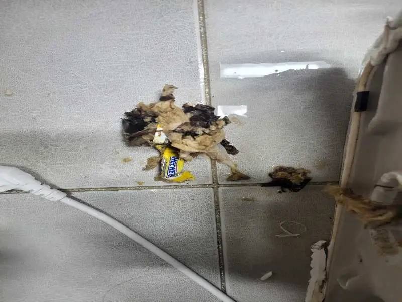 수원 배관 이물질 제거 사례 5